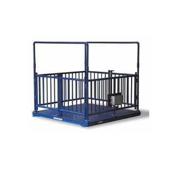 PS牲畜电子平台秤